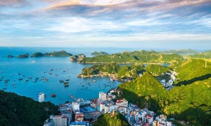 Cat Ba Tour 2 days 1 night